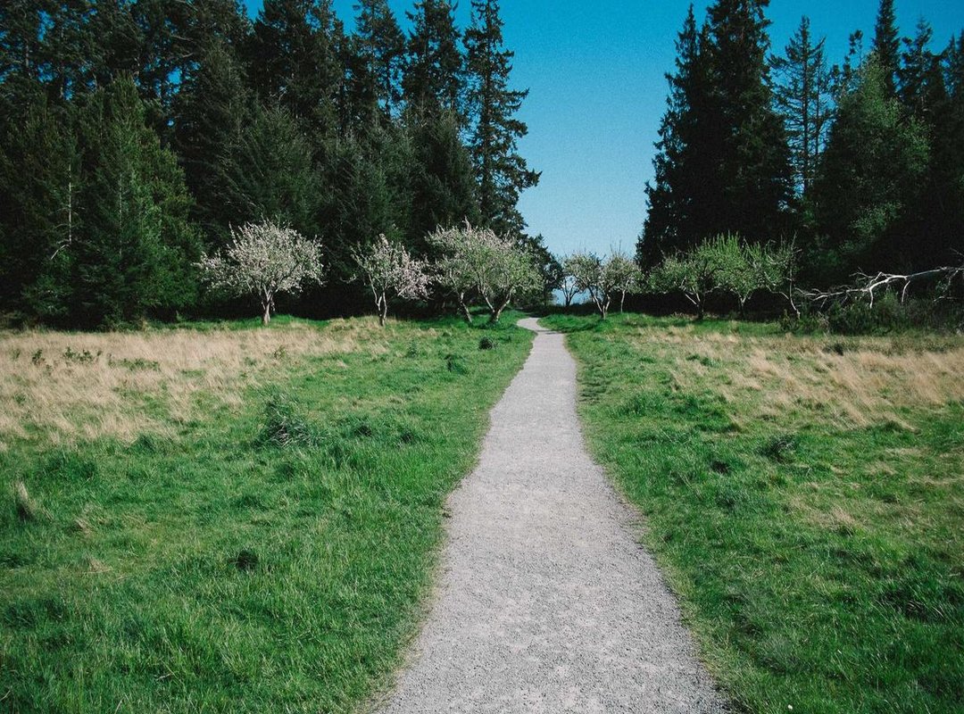 Practical Applications: When You Might Need This Conversion