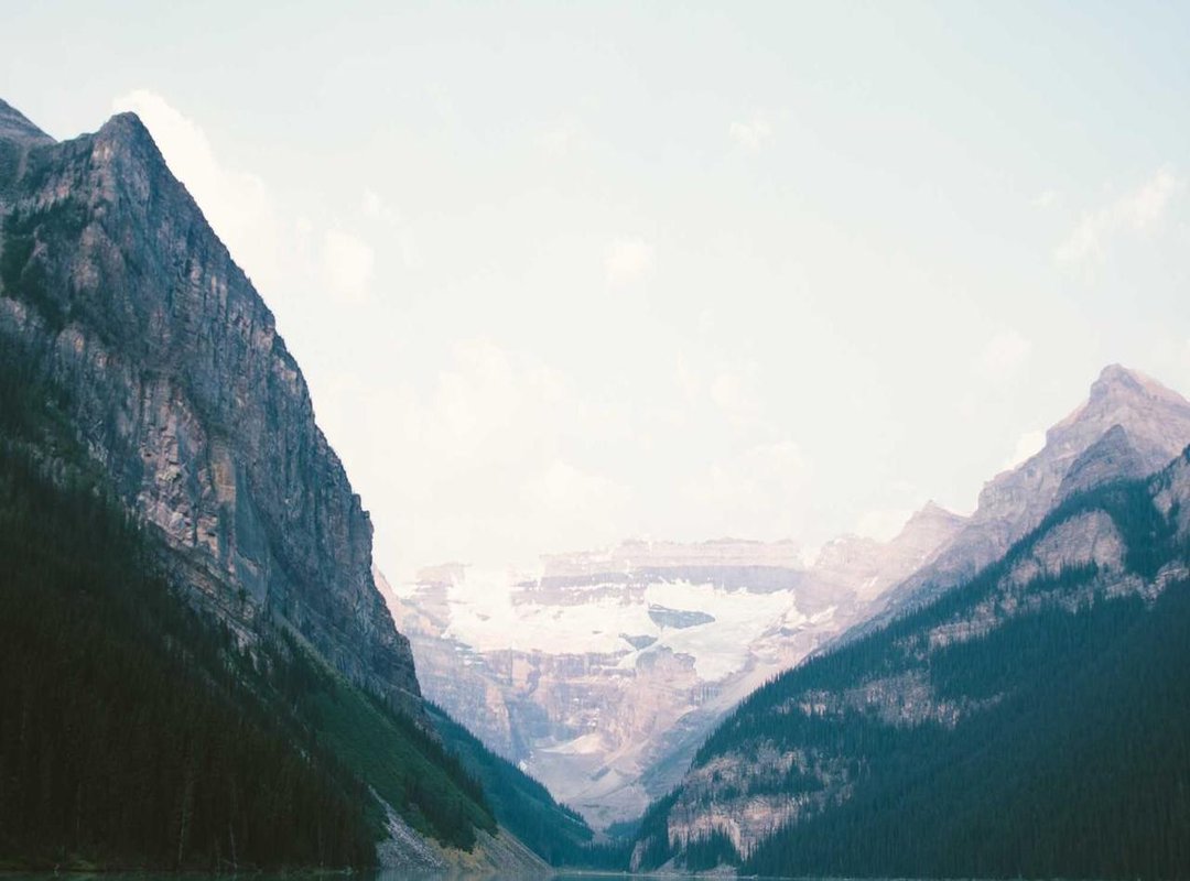 Performance Under Pressure: Longevity and Projection Compared