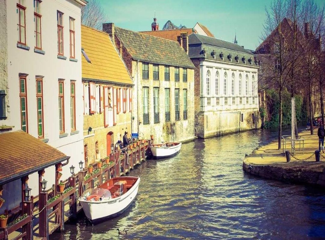 Finding Your Perfect Dragon: Popular Artistic Styles for the Spine